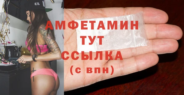 молекула духа Сосновка
