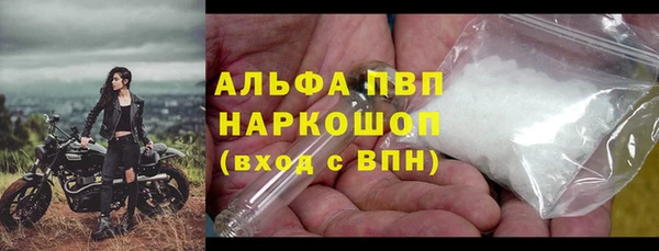 сатива Белокуриха