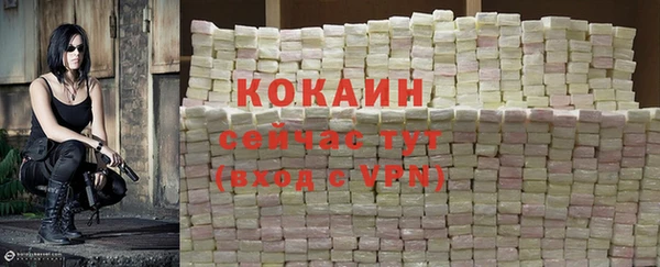 spice Сосновый Бор