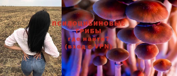 молекула духа Сосновка