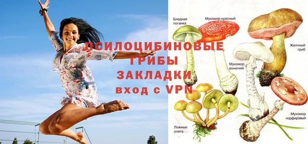 сатива Белокуриха