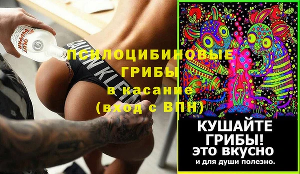 spice Сосновый Бор