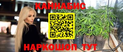 Альфа ПВП Канаш