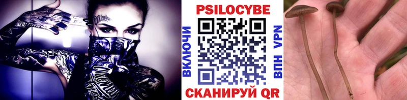 mega онион  Дагестанские Огни  Галлюциногенные грибы мухоморы 