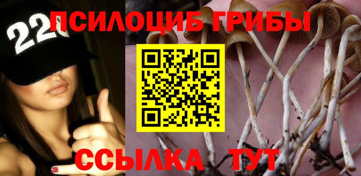 Галлюциногенные грибы ЛСД Дагестанские Огни