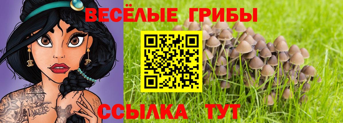 Галлюциногенные грибы GOLDEN TEACHER  Вход с VPN  Дагестанские Огни 