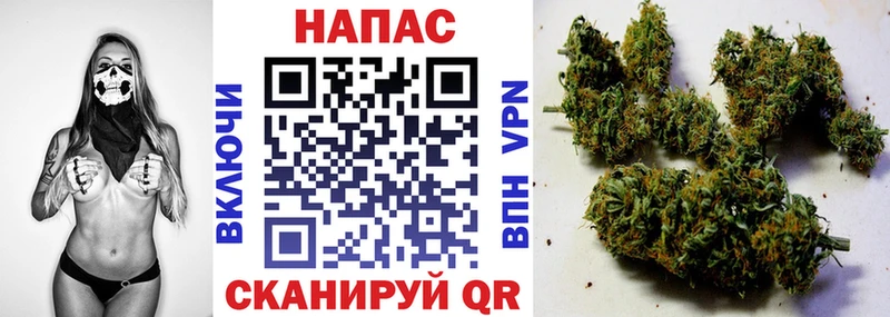 Конопля план  mega tor  Дагестанские Огни 